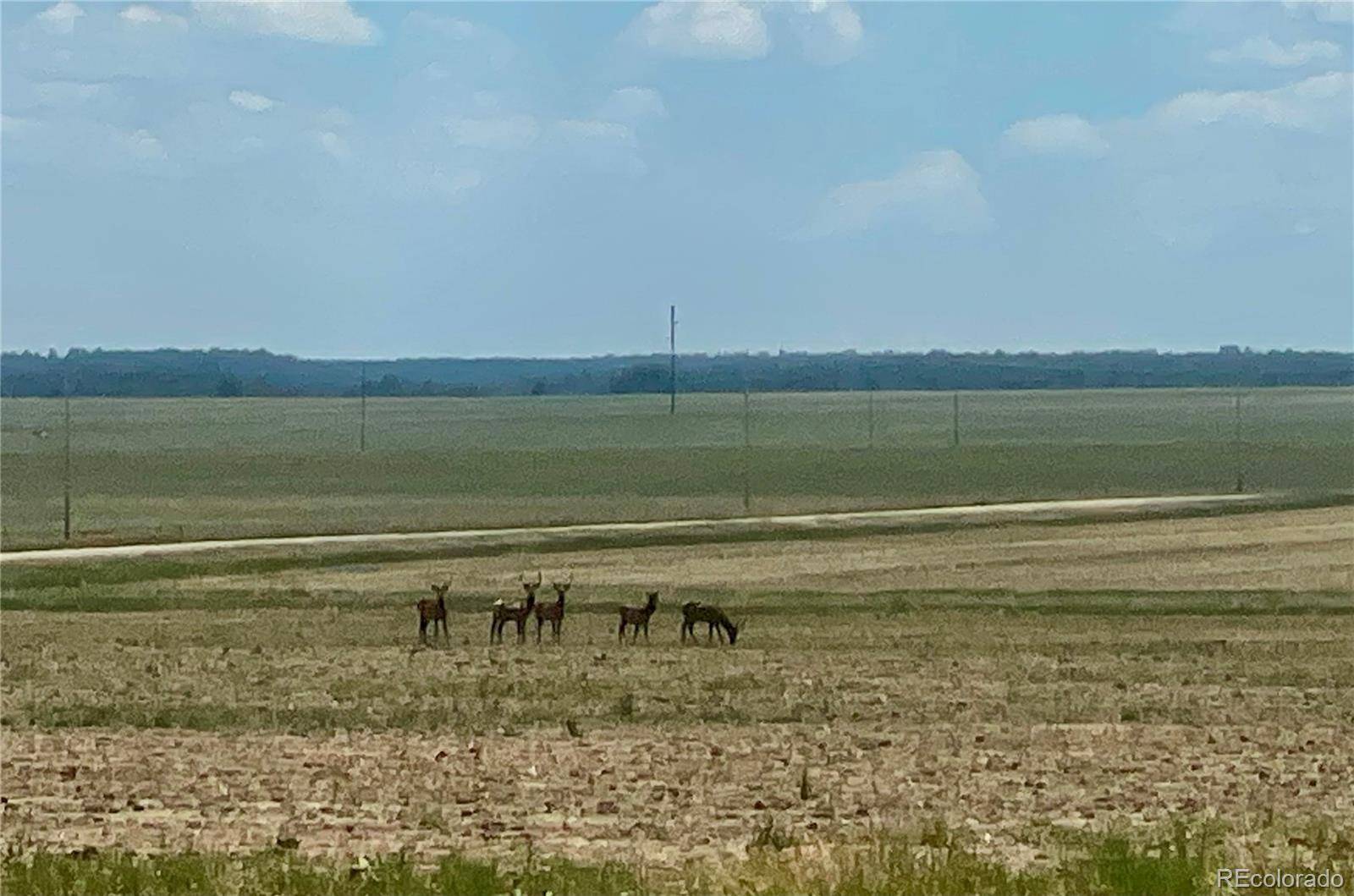 Elbert, CO 80106,Craven Lot 4