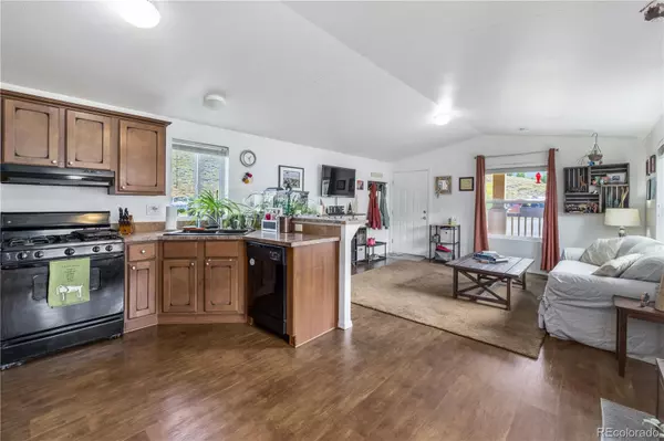 Dillon, CO 80435,120 Pike Peak PL