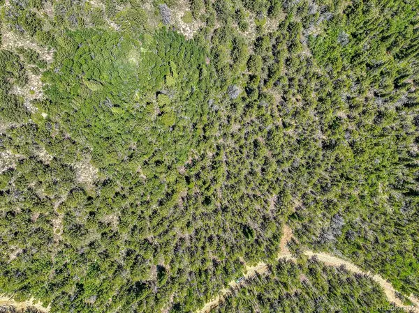 Black Hawk, CO 80427,111 Moldavia Claim