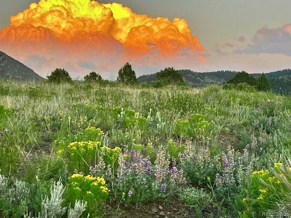 Westcliffe, CO 81252,Rural Custer County