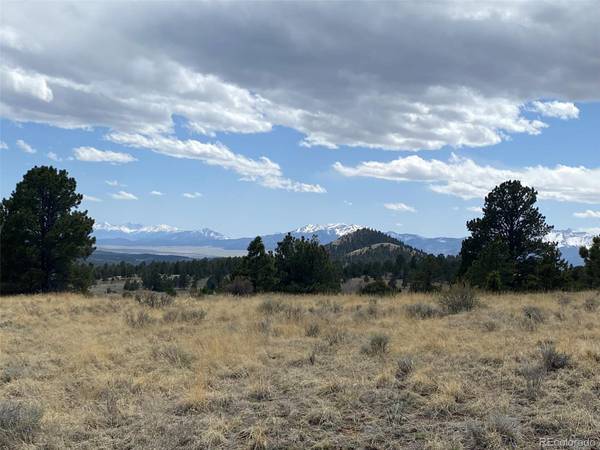 221 Junkins LOOP, Westcliffe, CO 81252