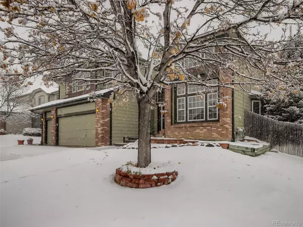 Castle Rock, CO 80104,1477 Scott Canyon LN