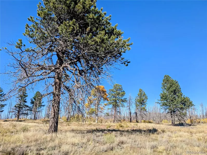 Lot 1397 Emory LOOP, Fort Garland, CO 81133