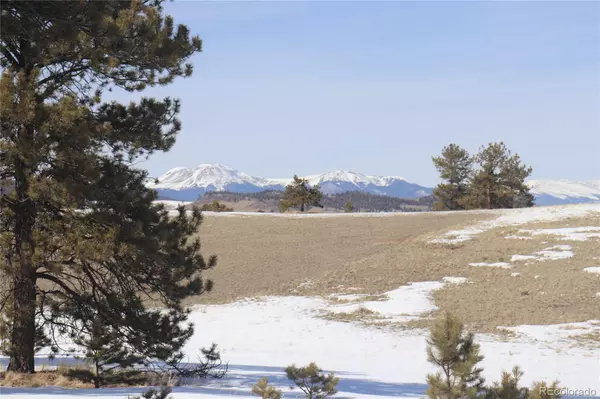 Hartsel, CO 80449,517 Brahma CIR