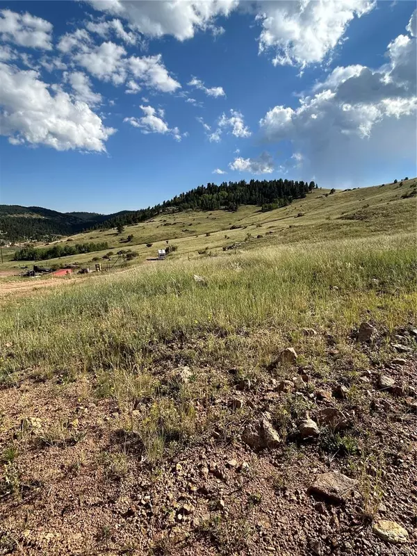 Shideler ST, Cripple Creek, CO 80813