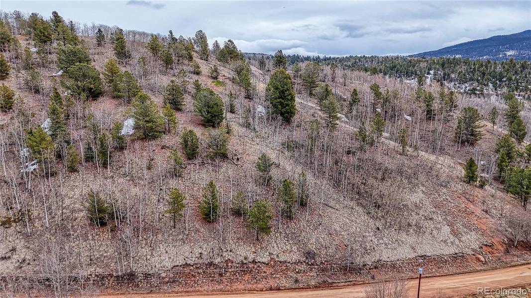 182 Granite LN, Cripple Creek, CO 80813