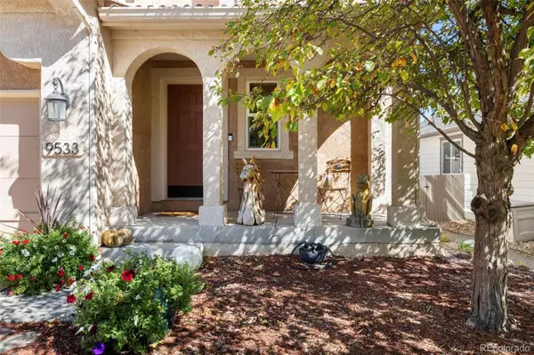 Colorado Springs, CO 80920,9533 Newport Plum CT