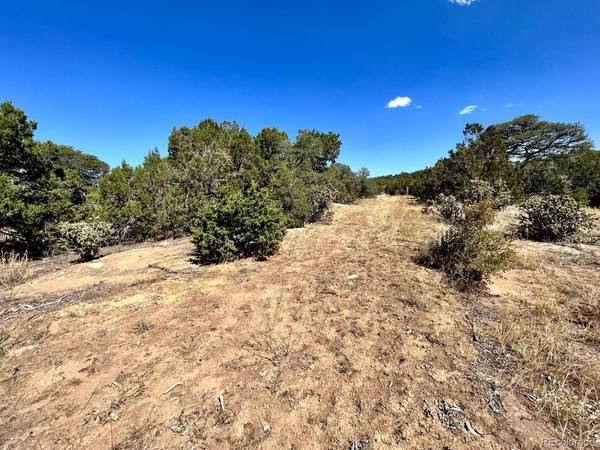 Walsenburg, CO 81089,Lot 919 Los Vaqueros CIR