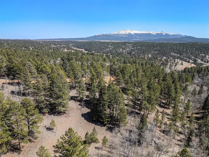 131 Lost Lake CIR, Divide, CO 80814