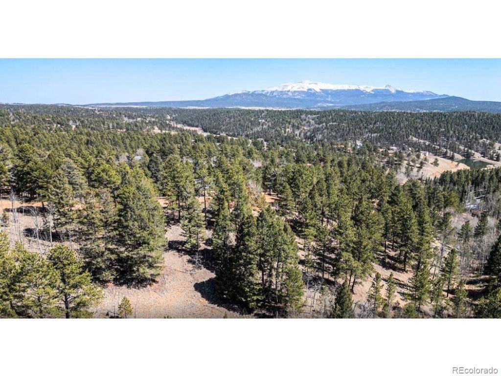Divide, CO 80814,131 Lost Lake CIR