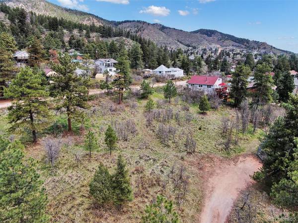 0 Buena Vista AVE, Palmer Lake, CO 80133