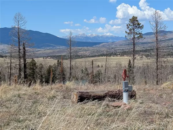 904, 908, 909, 910 Ueda Pl & Forbes Park RD, Fort Garland, CO 81133