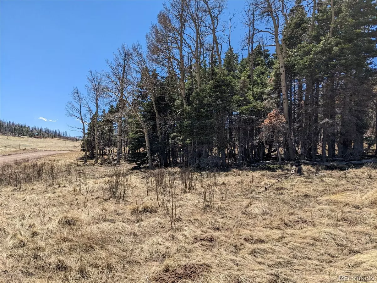 Fort Garland, CO 81133,2056 Forbes Park RD