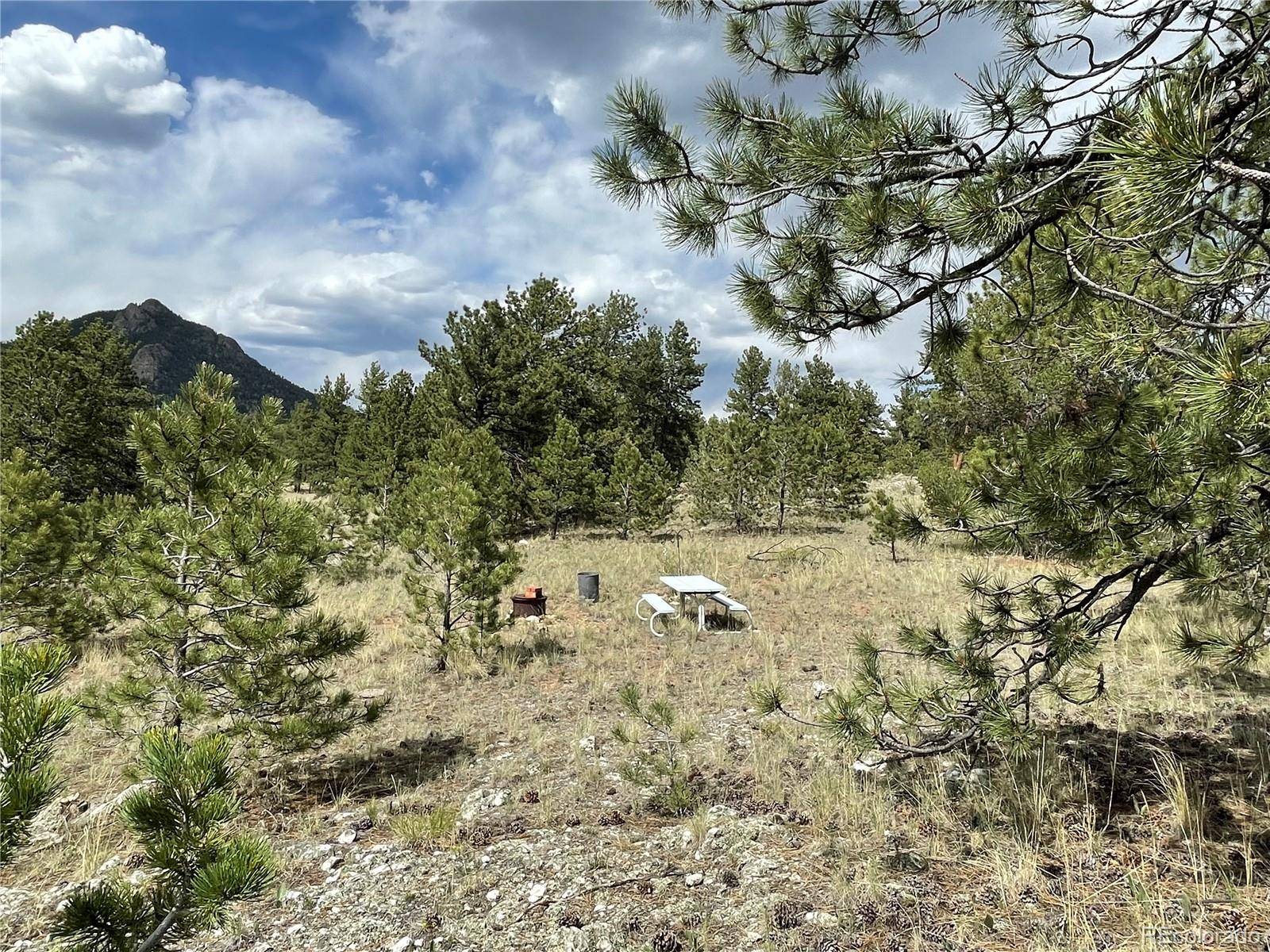 Hartsel, CO 80449,11871 Clear Creek RD