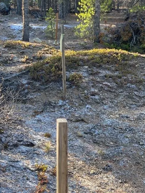 Leadville, CO 80461,67 Lodgepole DR