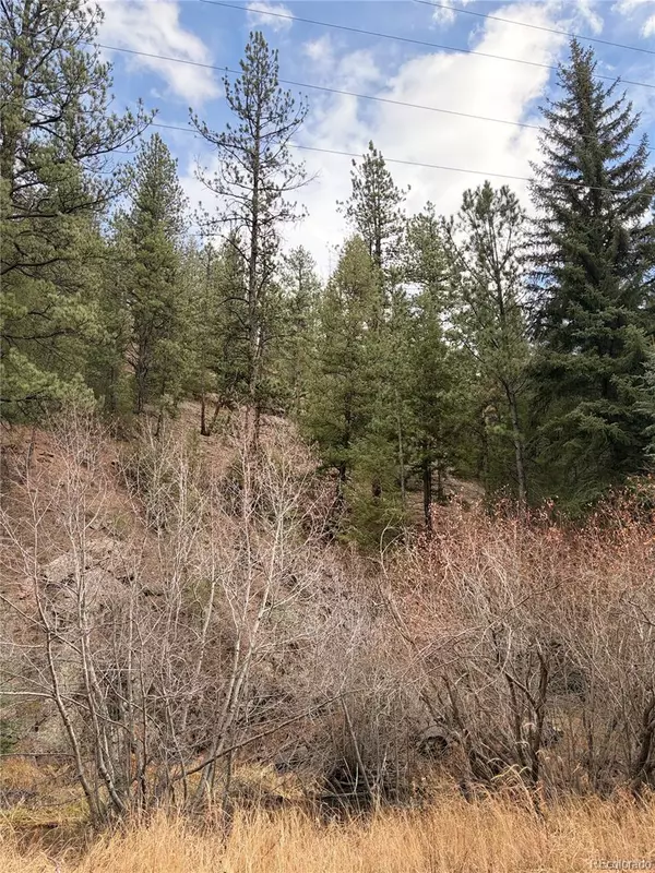 Pine, CO 80470,00000 S Elk Creek RD