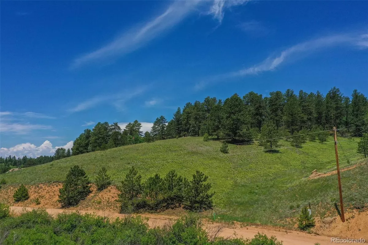 Florissant, CO 80816,781 Arapahoe Creek DR