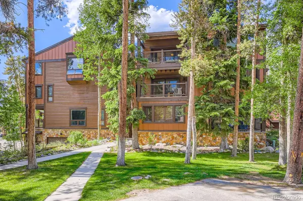 Breckenridge, CO 80424,180 Broken Lance DR #14