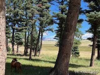 Fort Garland, CO 81133,2945 Forbes Park RD