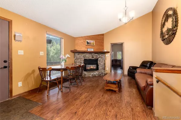 Bailey, CO 80421,65 Silver Springs RD