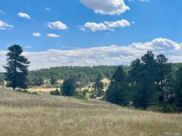 Elbert, CO 80106,Parcel 4 County Road 102