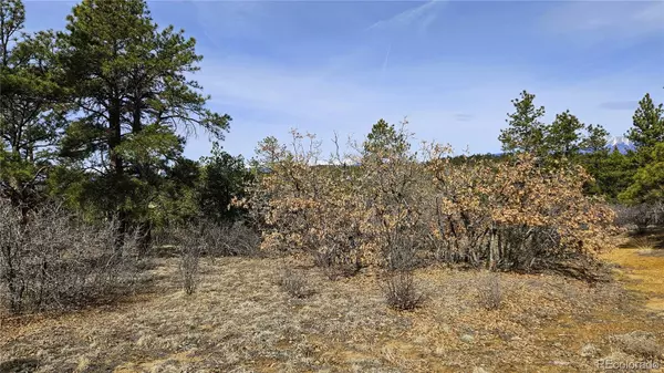 Weston, CO 81091,338 Rancho La Garita