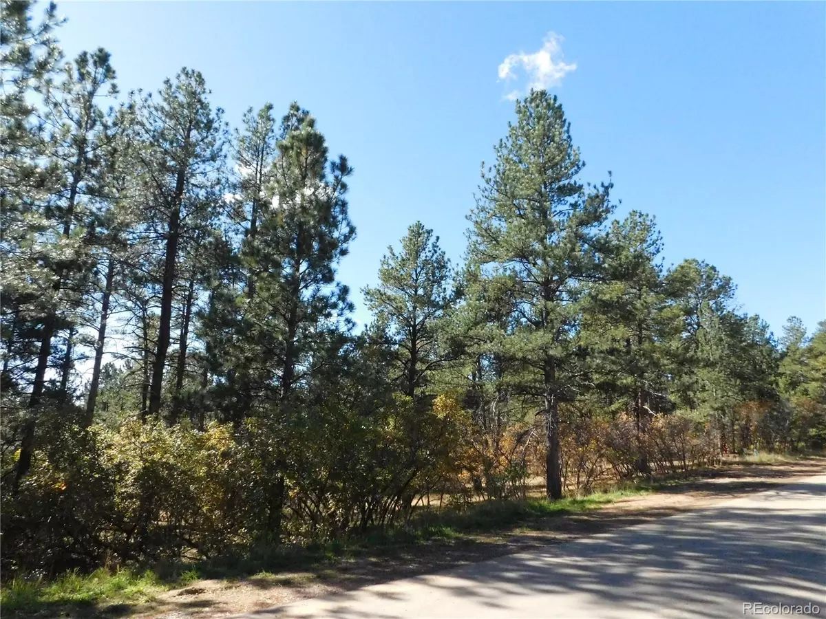Larkspur, CO 80118,682 Copper Fox PL