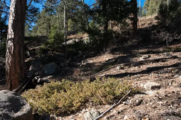 Conifer, CO 80433,11722 Braun WAY