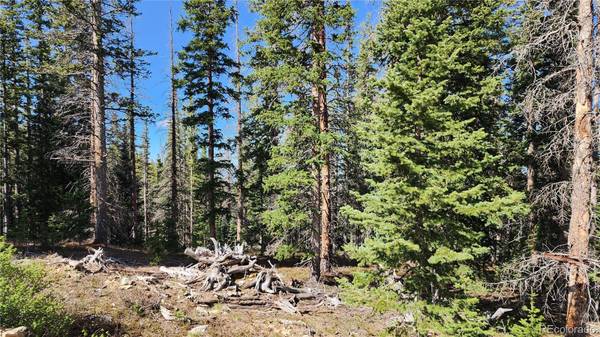 Lot 6561 Schlueter RD, San Luis, CO 81152