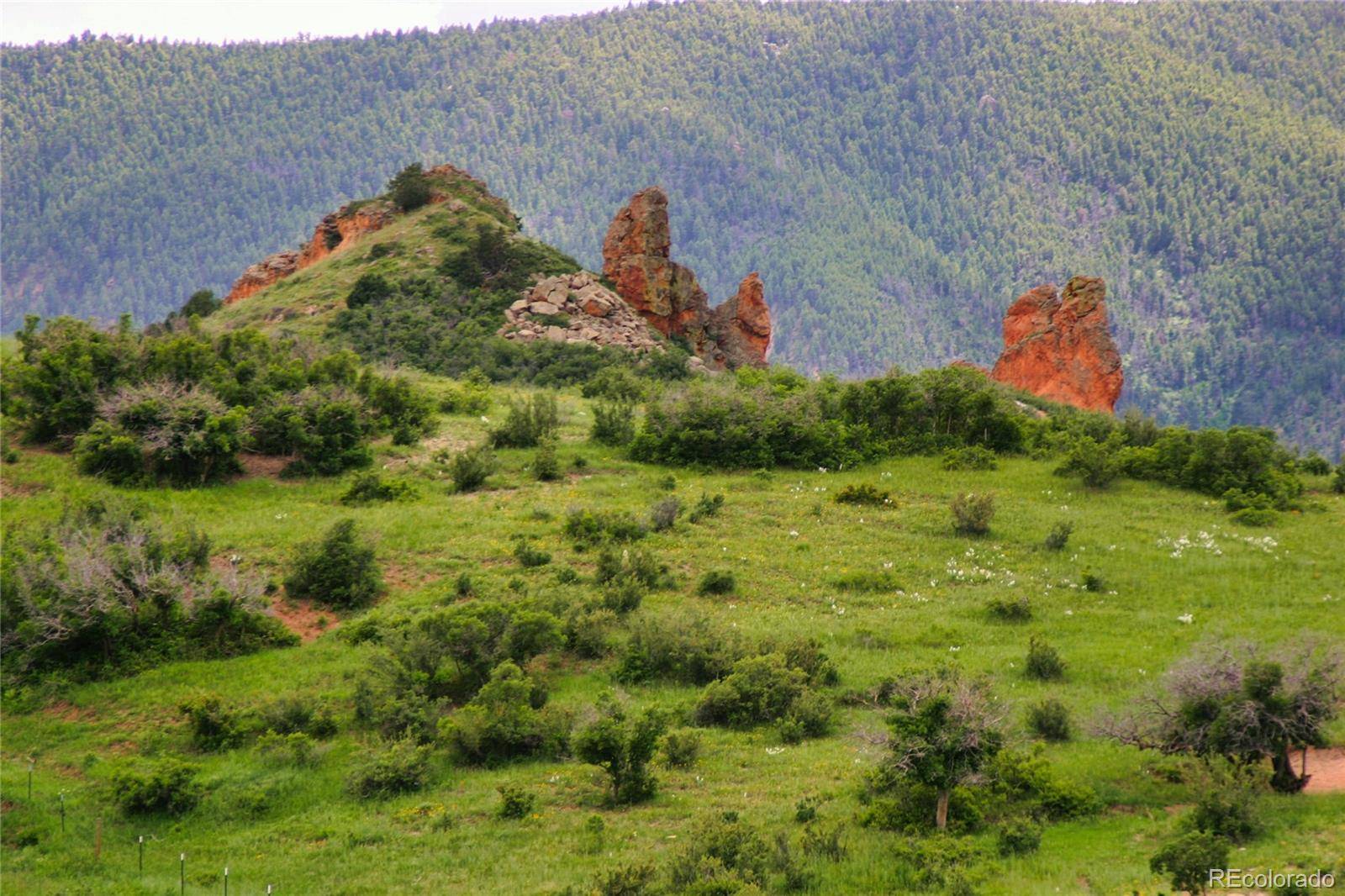 Larkspur, CO 80118,5531 Remuda Ranch Pkwy
