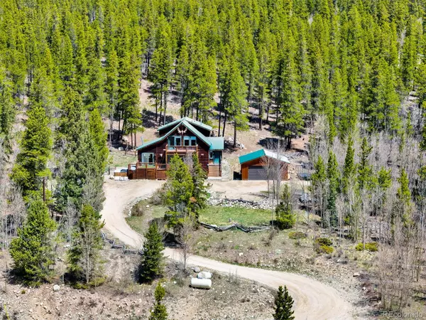 Fairplay, CO 80440,2891 Nugget RD