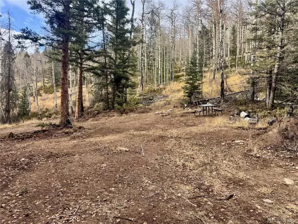 San Luis, CO 81152,Ryland RD