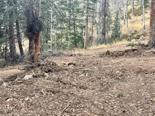 San Luis, CO 81152,Ryland RD