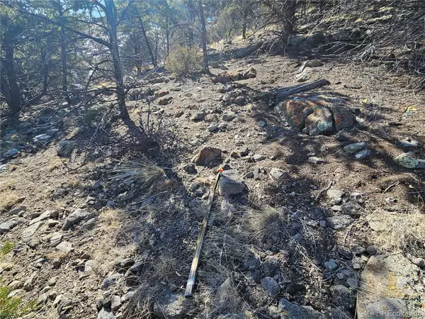 Texas Creek, CO 81223,Vacant Land