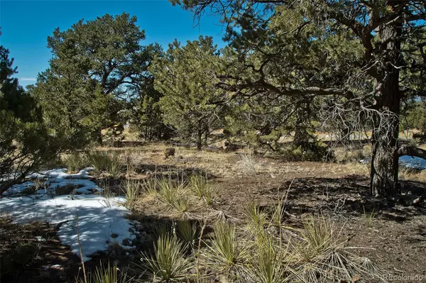 Crestone, CO 81131,3533 Camino Del Rey