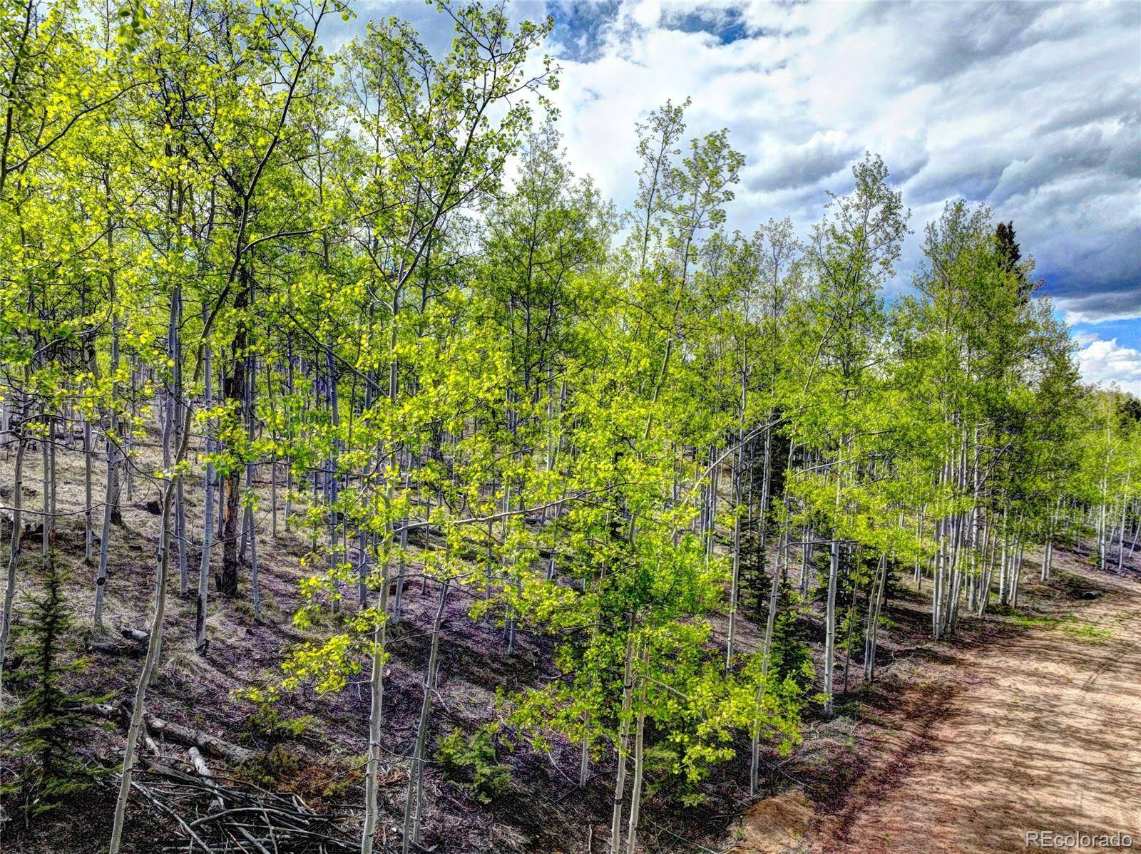 Como, CO 80432,57 Grebe LN