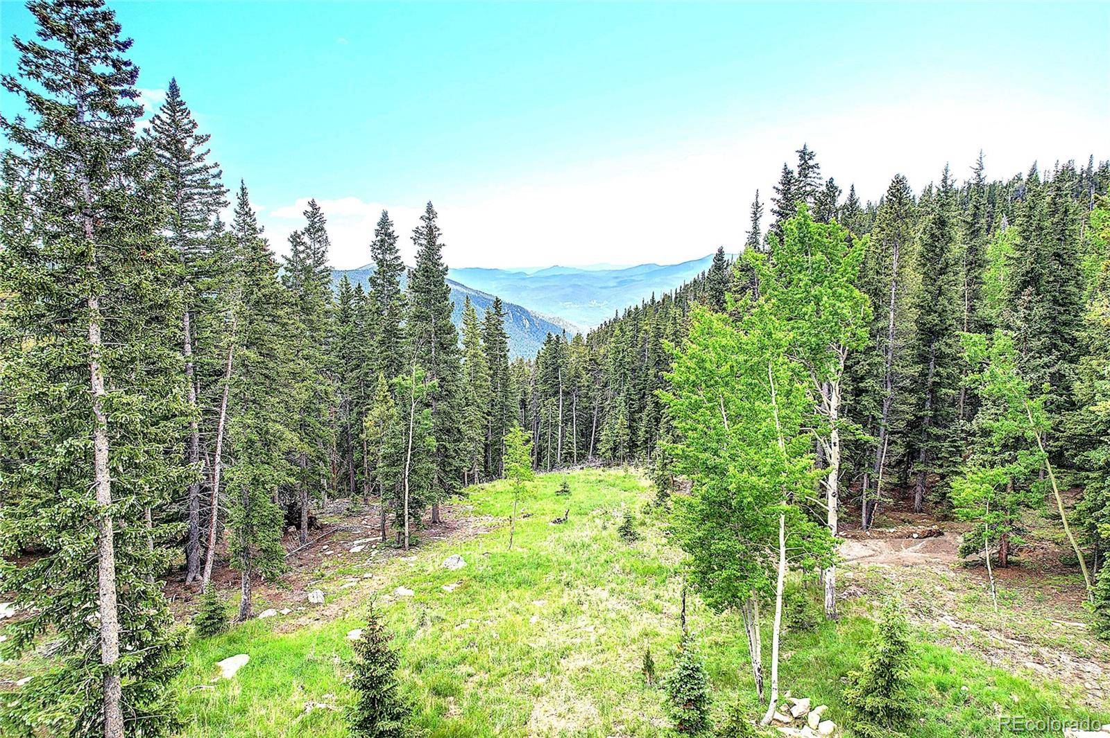 1176 Raven Ridge RD, Idaho Springs, CO 80452
