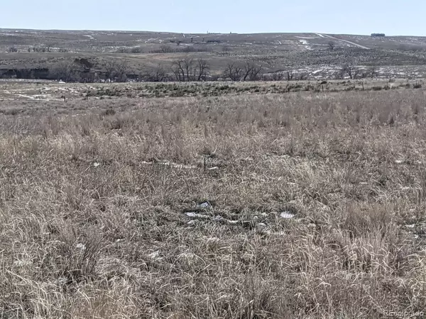 Parker, CO 80138,44294 N Wrangle CT