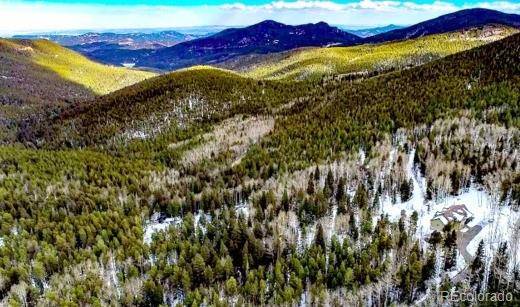 Idaho Springs, CO 80452,Lot 17 Long RD