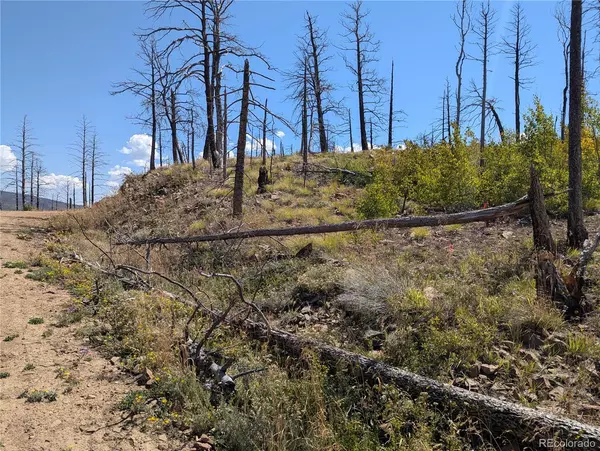 Fort Garland, CO 81133,349 MacNaughton DR