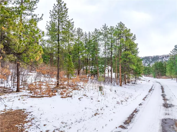 Larkspur, CO 80118,773 Poncho RD