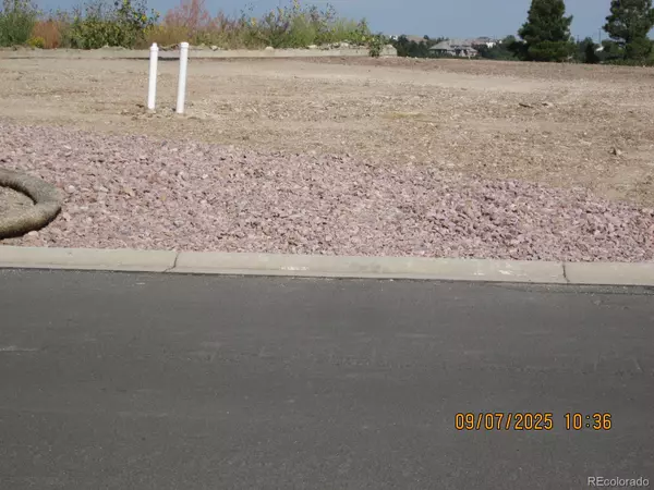 Castle Rock, CO 80108,1507 White Fir TER