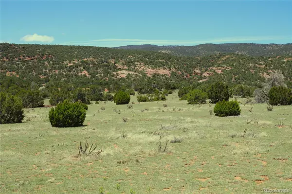 Canon City, CO 81212,Upper Beaver Creek Road