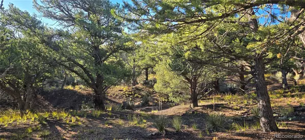 Fort Garland, CO 81133,Lot 7381 Platten RD
