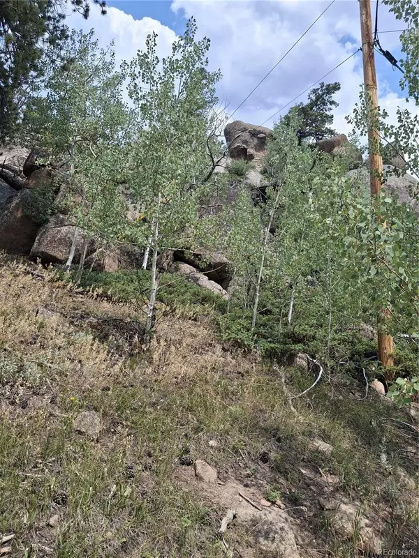 Red Feather Lakes, CO 80545,865 Okmulgee CIR