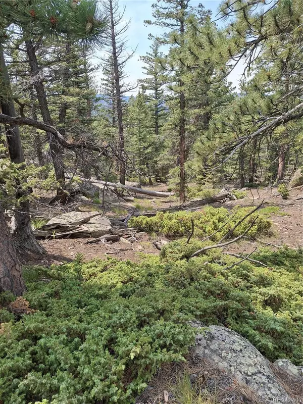 Red Feather Lakes, CO 80545,865 Okmulgee CIR