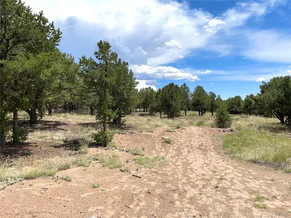 Crestone, CO 81131,Tract 6 PHILLEO ANNEX Hemlock ST