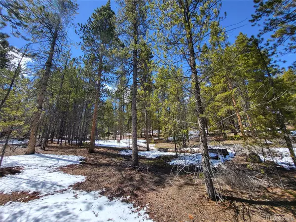 Twin Lakes, CO 81251,85 Hemlock DR