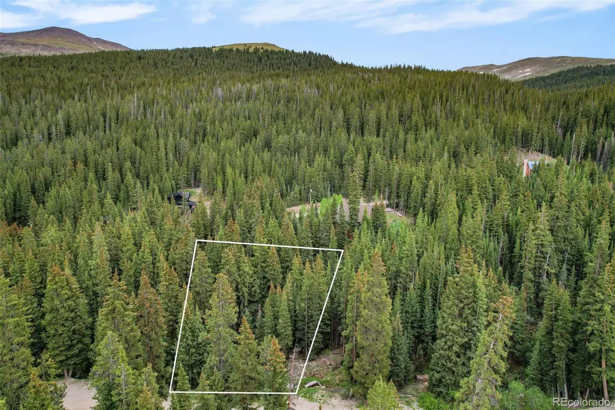 Breckenridge, CO 80424,286 CTY Road 675