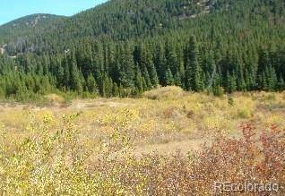 Lot 39 Silver Creek RD, Idaho Springs, CO 80452